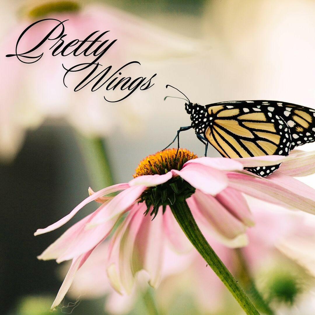 Pretty Wings Ebook - Ms Candi Girl. LLC